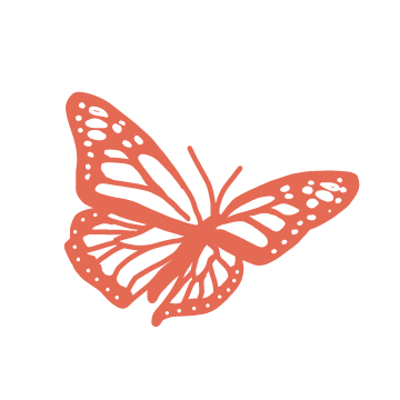 illustration of a monarch butterfly