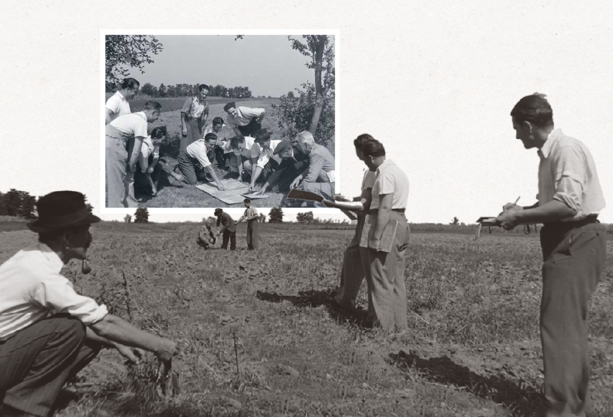 Hungarian Communist Party members re-parcel agricultural land
