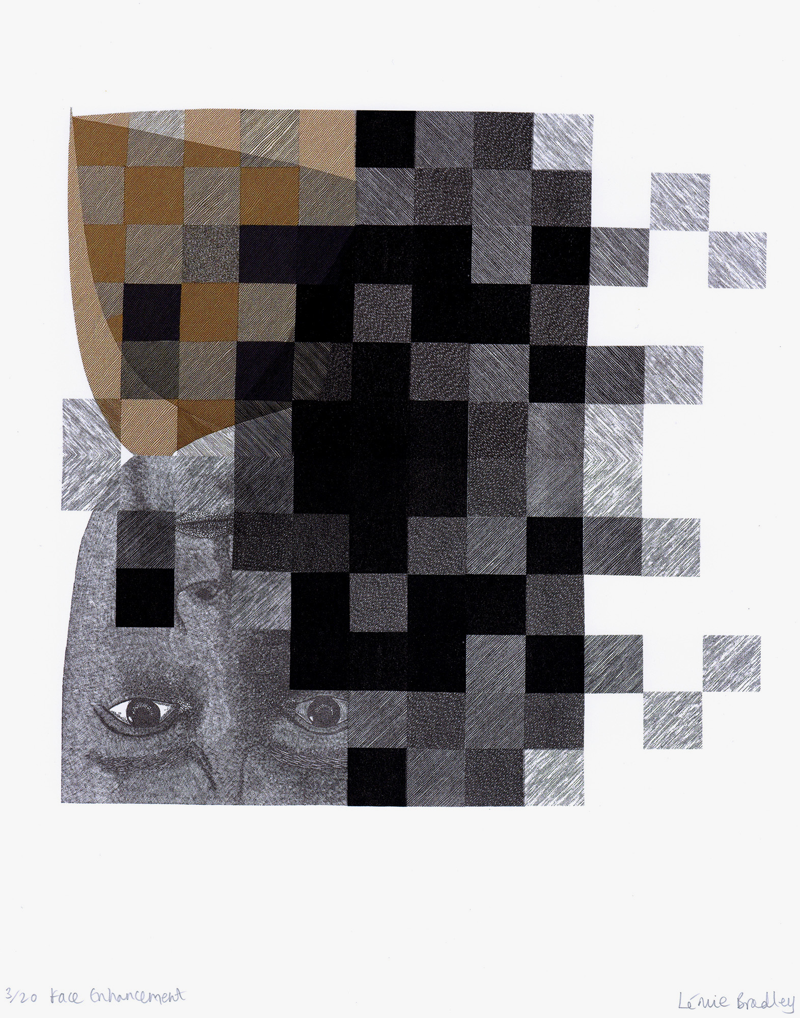 ”Facial Enhancement” Leonie Bradley, digital, wood engraving, ai-generated imagery, 11” x 14”, 2025