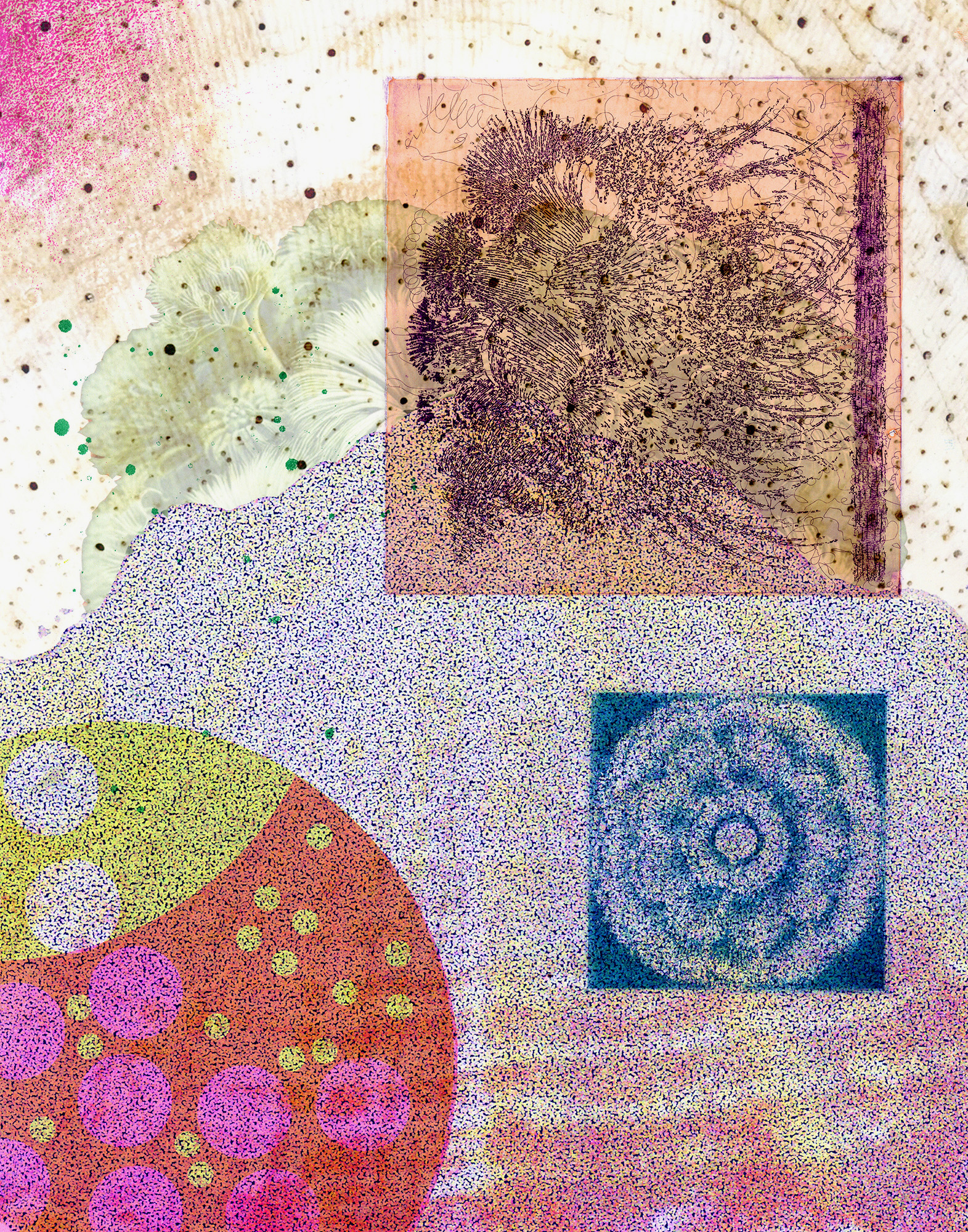 ”In sheltered nooks, between coral masses” Mariceliz Pagán Gómez, intaglio, injet, and screenprint, 11” x 14”, 2025